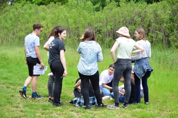 Learning the art of cooperation