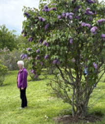 Sister Janet photo with lilac
