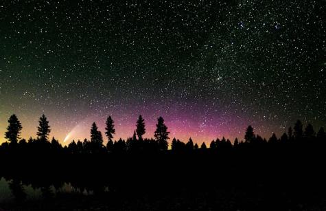 Photo by Micah Tindell on Unsplash