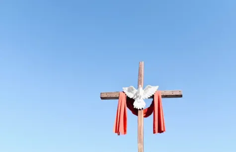 Photo by Emily Crawford on Unsplash