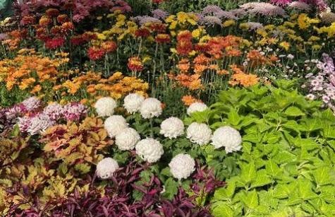 photo of a colorful coral reef