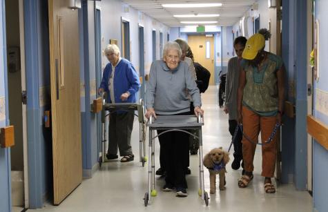 Sister Ann Marie Whelan Photo of Sister Ann Marie Whelan with cooper
