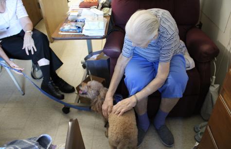 Sister Jo Ann Villademoros photo of Sister Jo Ann Villademoros