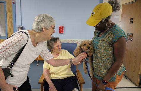 Sisters Pam Jablon and Connie Coulter photos of Sisters Pam Jablon and Connie Coulter