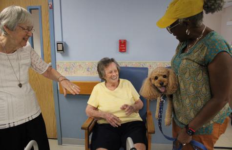 Sisters Pam Jablon and Connie Coulter photos of Sisters Pam Jablon and Connie Coulter
