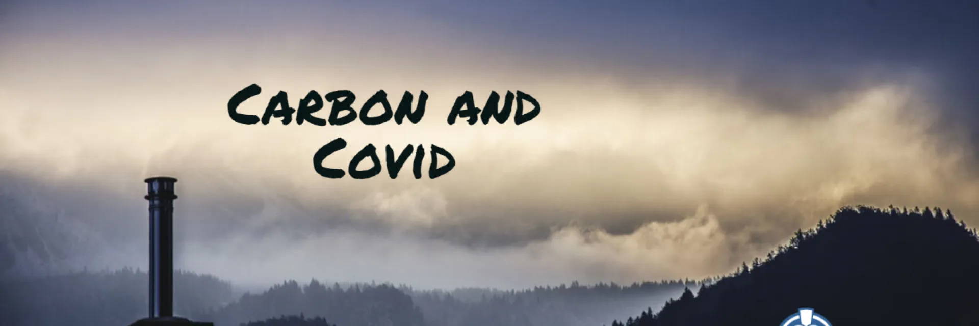 carbon and covid