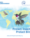 World Migratory Bird Day